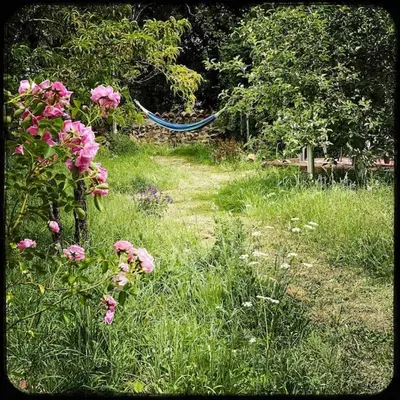 Jardin de l'établissement Le Prieuré du Vigeant