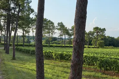 Paysage naturel près de le B&B/chambre d'hôtes