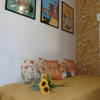 Petit gîte La vigne est belle - 2 étoiles- Sud Charente
