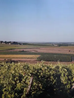 Paysage naturel près de la maison d'hôtes