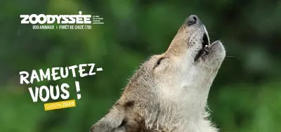 Animaux dans la maison de vacances ou à proximité
