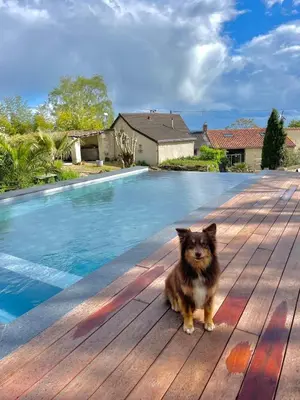 Animal ou animaux domestique(s) séjournant avec des clients dans l'établissement Le gîte 24 proche du Futuroscope - Jacuzzi compris