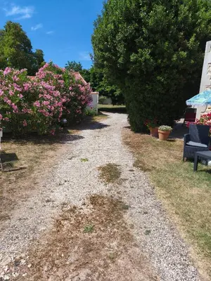 Jardin de l'établissement Chez Cathy et Jean loup