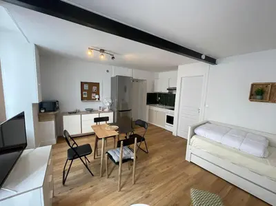 Cuisine ou kitchenette dans l'établissement Studio centre ville
