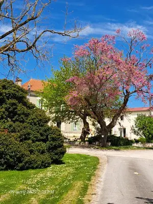 Jardin de l'établissement La Métairie au milieu des vignes