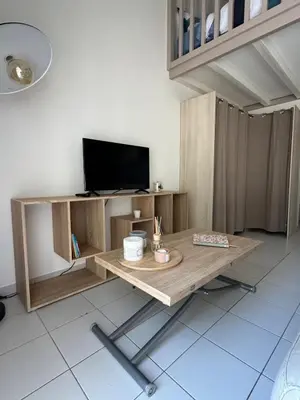 Télévision ou salle de divertissement dans l'établissement Appartement L'écrin de Lumière - Résidence Kiwi