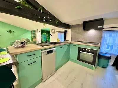 Cuisine ou kitchenette dans l'établissement l'Atypique Jungle - Hyper Centre - Refait à neuf