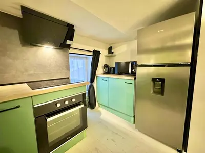 Cuisine ou kitchenette dans l'établissement l'Atypique Jungle - Hyper Centre - Refait à neuf