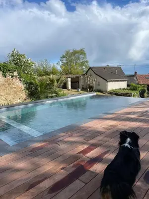 Animal ou animaux domestique(s) séjournant avec des clients dans l'établissement Gîte - petite maison proche du Futuroscope