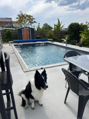 Animal ou animaux domestique(s) séjournant avec des clients dans l'établissement Au calme dans le marais avec piscine