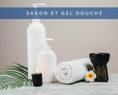 Plan de l'établissement Maison charentaise au Cœur des Vignobles