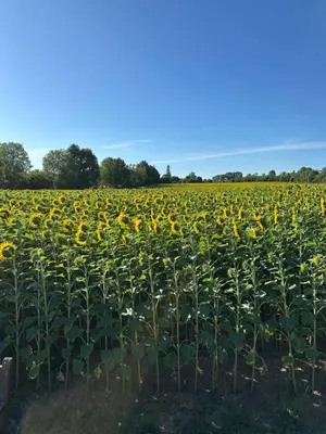 Plan de l'établissement Gîte de la ferme L'Archerie