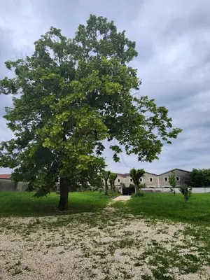 Paysage naturel près de la villa