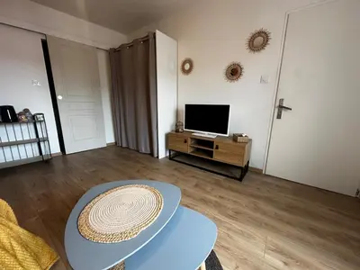Télévision ou salle de divertissement dans l'établissement Le Petit phucket - centre ville - wifi