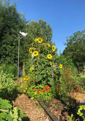 Jardin de l'établissement La Grange de la Brousse