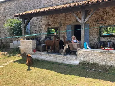 Animaux dans le B&B/chambre d'hôtes ou à proximité