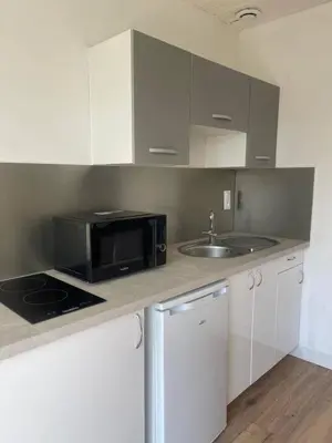 Cuisine ou kitchenette dans l'établissement Maisons Martigny B - Proche Futuroscope et Aquascope