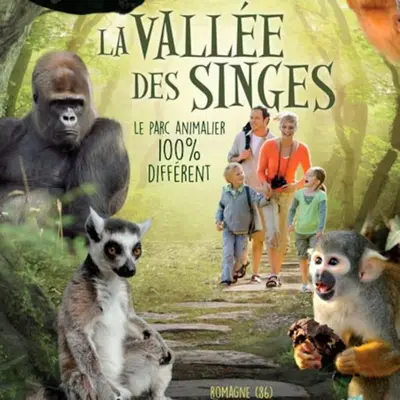 Animaux dans la maison de vacances ou à proximité