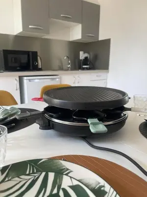 Cuisine ou kitchenette dans l'établissement Maisons Martigny B - Proche Futuroscope et Aquascope