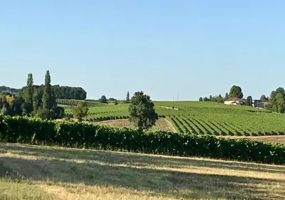 Paysage naturel près de le B&B/chambre d'hôtes