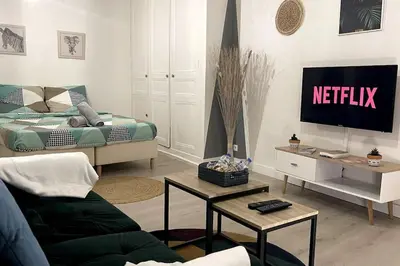 Télévision ou salle de divertissement dans l'établissement La Petite Fleur - Centre ville