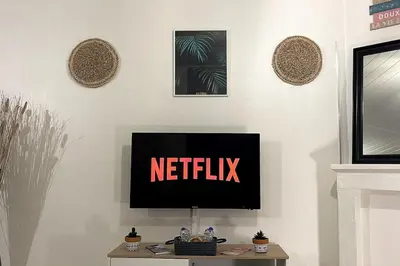 Télévision ou salle de divertissement dans l'établissement La Petite Fleur - Centre ville