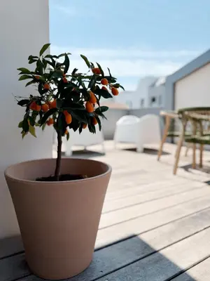 Balcon ou terrasse dans l'établissement Villa Rompsay