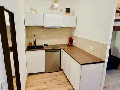 Cuisine ou kitchenette dans l'établissement Studio Cosy