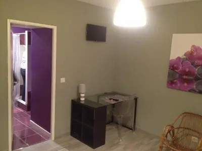 Télévision ou salle de divertissement dans l'établissement Appartements d'hôtes Santa Giulia