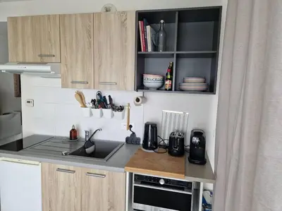 Cuisine ou kitchenette dans l'établissement Ambre Appart-Wifi-Terrasse-Parking-Terrasse-2 couchages