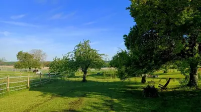 Jardin de l'établissement Studio du domaine équestre B & G