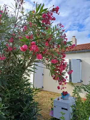 Jardin de l'établissement Arc en Ciel