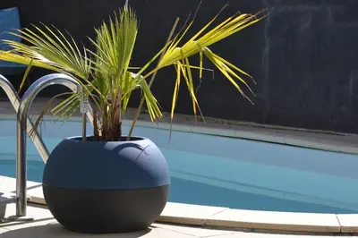 Piscine de l'établissement Grande chambre familliale pour 4 à 5 personnes ou située à proximité
