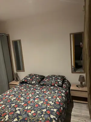 Un ou plusieurs lits dans un hébergement de l'établissement Appartement meublé T1 Lussac les Chateaux