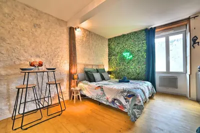 Un ou plusieurs lits dans un hébergement de l'établissement Jungle Rochelaise - Coeur de ville, Entièrement Rénovée, Tv 4K, Fibre, Quartier Porte Royale
