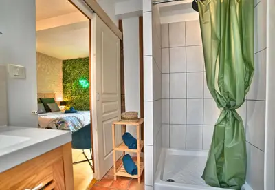 Salle de bains dans l'établissement Jungle Rochelaise - Coeur de ville, Entièrement Rénovée, Tv 4K, Fibre, Quartier Porte Royale
