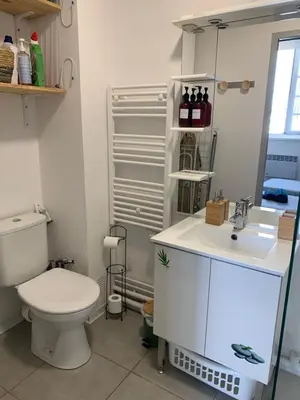 Salle de bains dans l'établissement Charmant appartement cosy