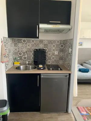 Cuisine ou kitchenette dans l'établissement Charmant appartement cosy