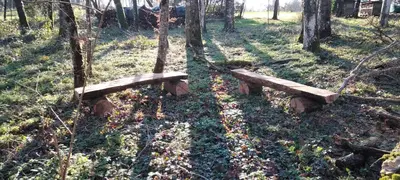 Jardin de l'établissement B&B Chateau La Séchère