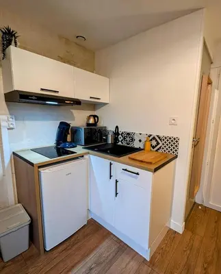 Cuisine ou kitchenette dans l'établissement L'Exotic - Studio Centre-Ville