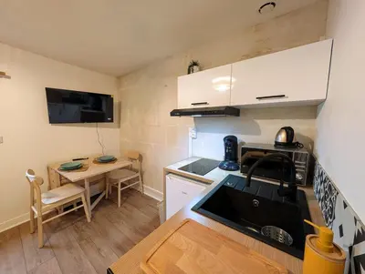 Cuisine ou kitchenette dans l'établissement L'Exotic - Studio Centre-Ville