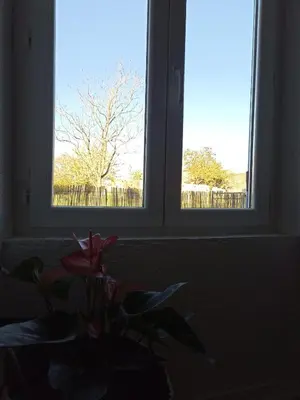 Plan de l'établissement Gîte Bellebouche