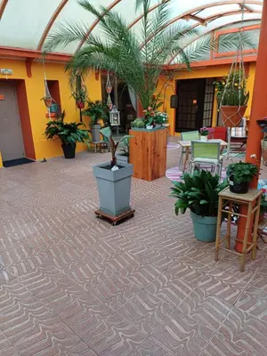 Jardin de l'établissement L'Orangerie