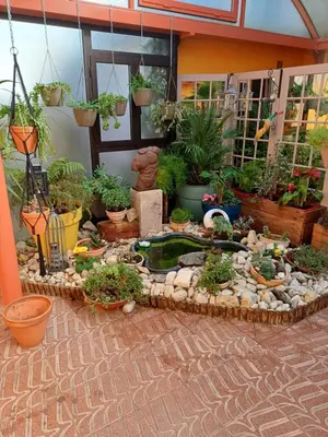 Jardin de l'établissement L'Orangerie