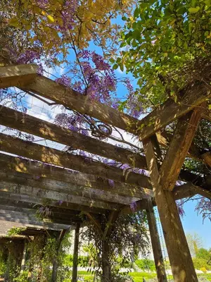 Jardin de l'établissement Le Logis