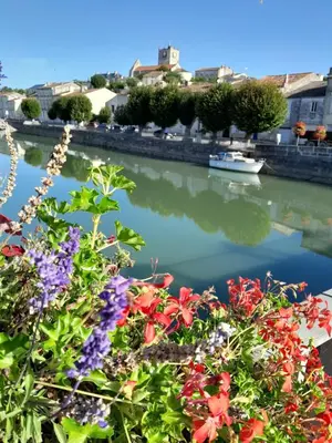 Vue sur la rivière ou le fleuve situé(e) à proximité de la maison de vacances
