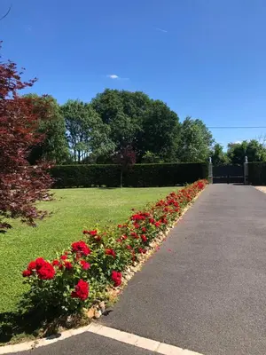 Jardin de l'établissement Villa de charme LA ROCHE AUX LIONS