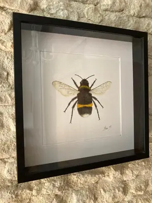 Plan de l'établissement Bumblebee Cottage