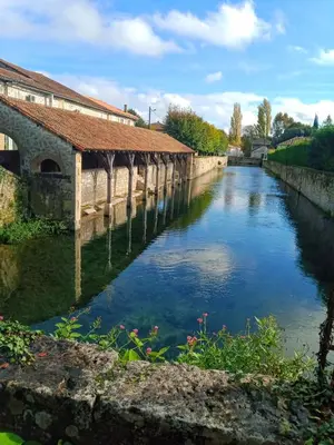 Vue sur la rivière ou le fleuve situé(e) à proximité de l'appartement