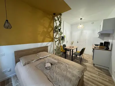Cuisine ou kitchenette dans l'établissement Studio hyper centre le Cosy